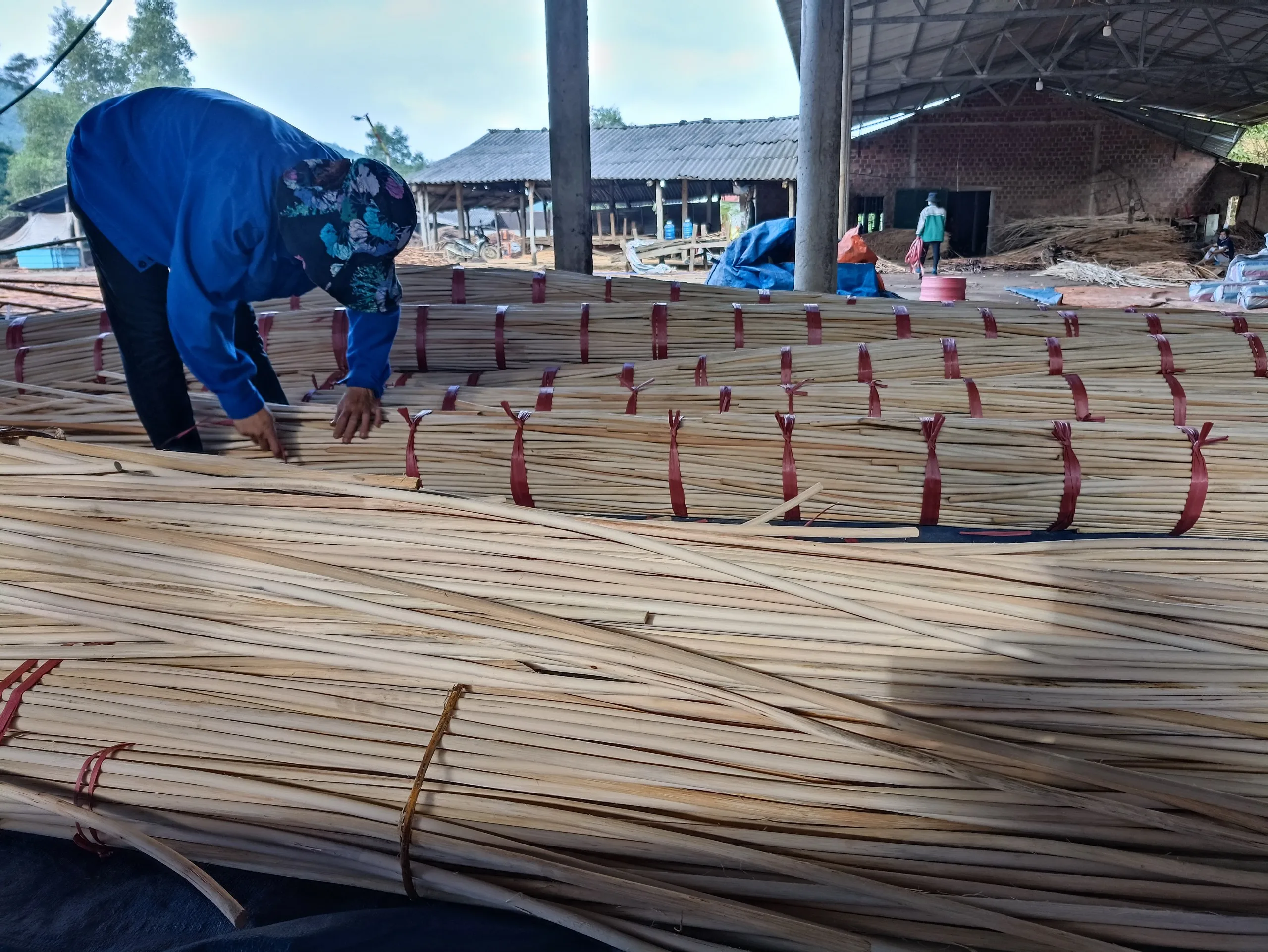 Low Price Vietnam Raw Natural Rattan Core And Peel From Vietnam Factory Bulk Quantity High Quality from Vigifarm 1.5mm to 10mm