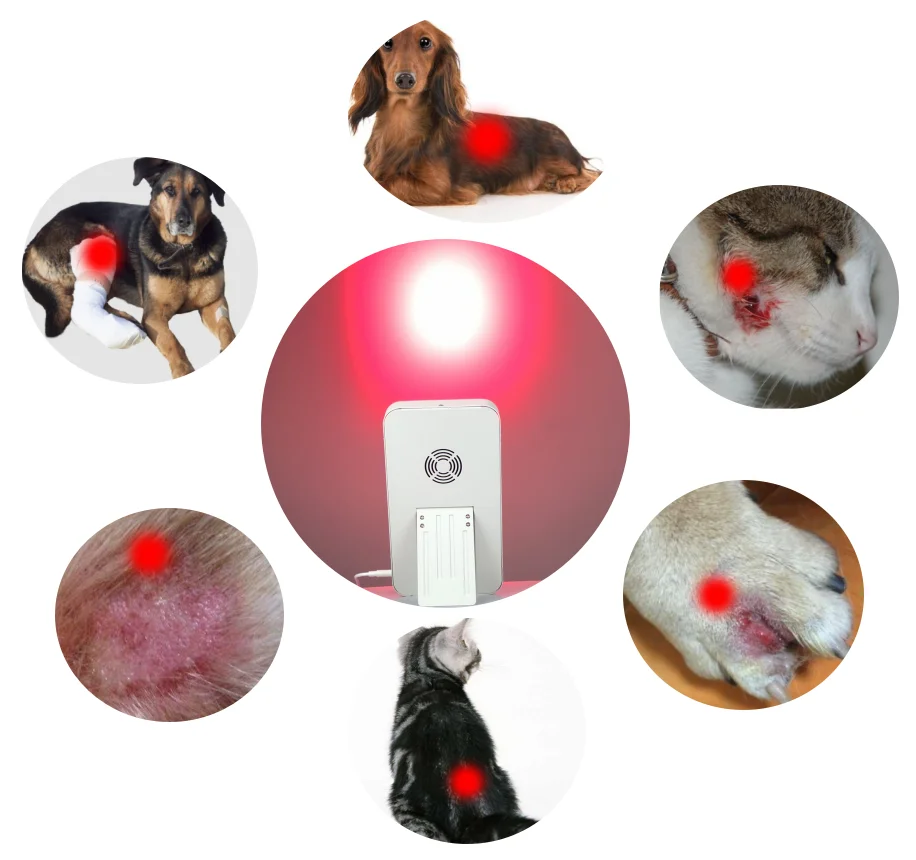 Portable PDT 660nm 850nm therapy panel face target body 40 leds 120W red NIR anti-aging light therapy lamp