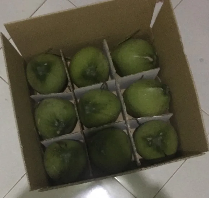 Premium Grade Green Husked Coconut 100% Organic from Farms in Ben Tre, Vietnam (WhatsApp: +84 366 808 6831)