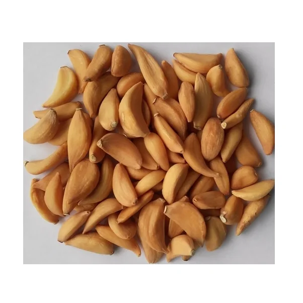 Worldwide Selling Dehydrated Garlic Flakes In 1Kg Best Packaging From Indian Bulk Exporters