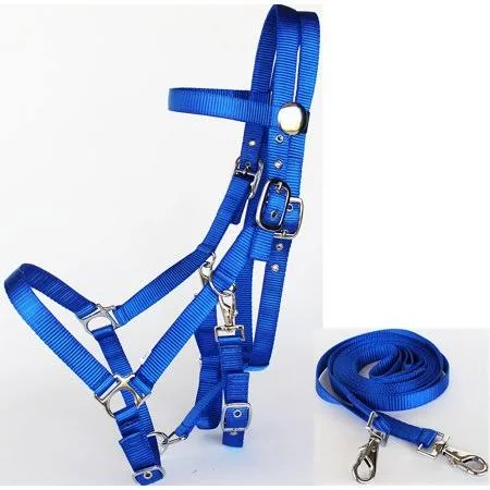 Equestrian Padded Headstall Reins Horse unique custom handmade horse riding halter bridle affordable price manufacturers India
