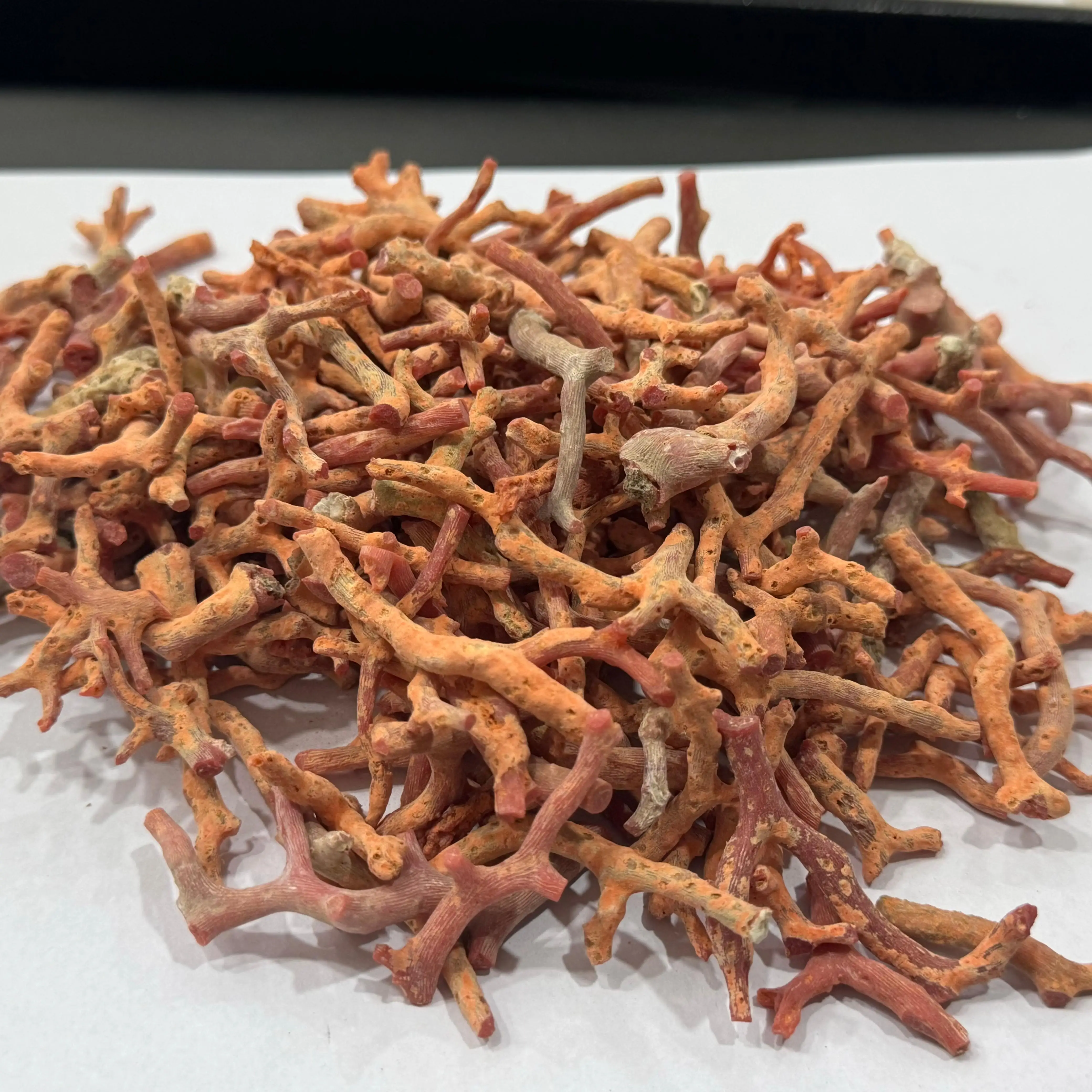 Natural Italian Coral Rough Sticks High Quality Italian Sea Red Coral Raw Sticks For Sale bulk product