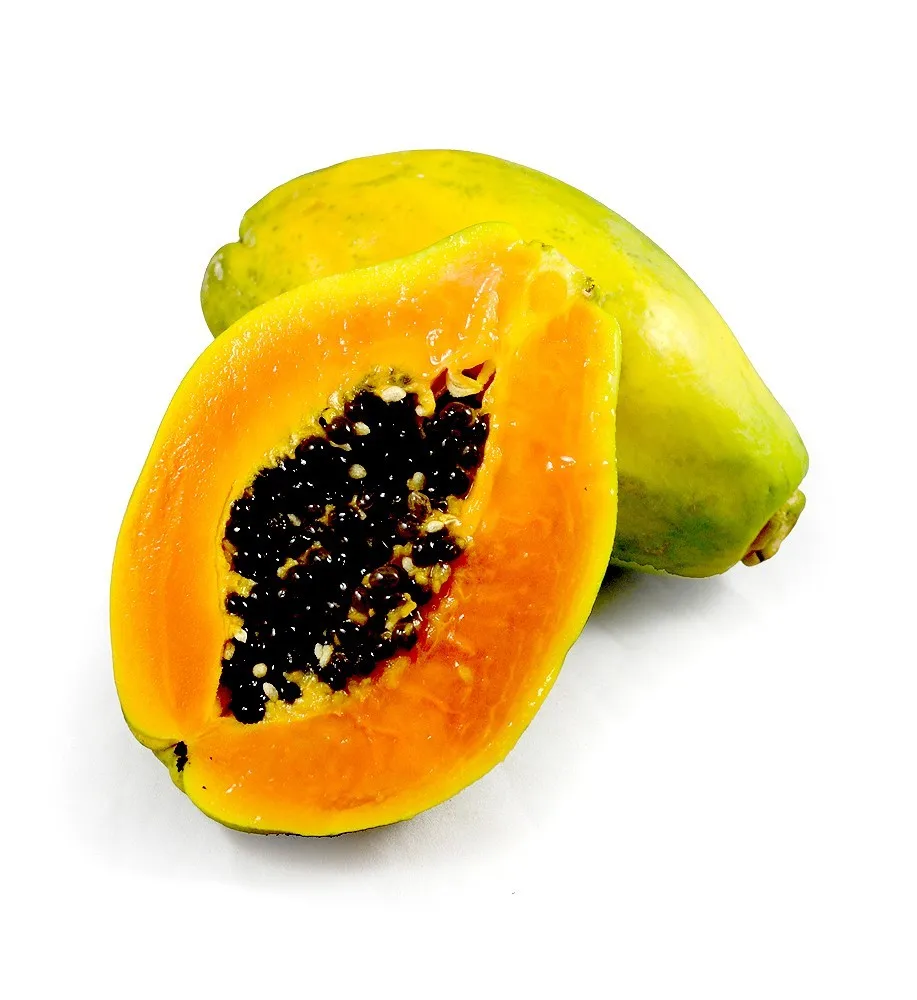 Cooking High Quality Food PAPAYA Paste Also Export Quality Paste Best Quality Food Taste In Seasoning Delicious