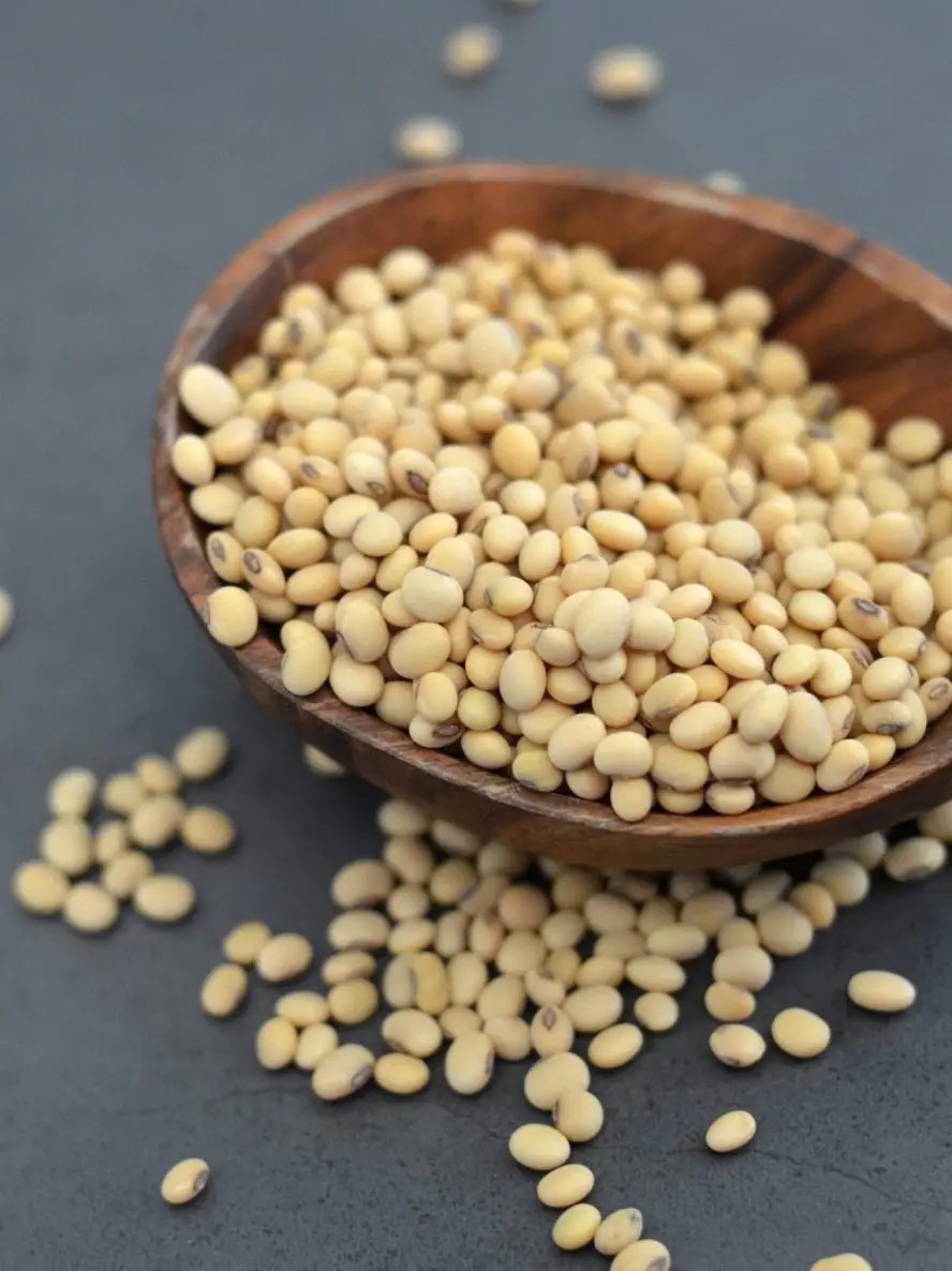 Top Grade Bulk Supply Soya beans Fresh Stock Wholesale Price High Quality