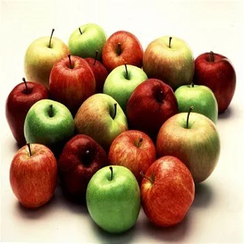 factory  price Fresh Apples Red Fuji Green Golden delicious Apples, Royal Gala Apples, Granny Smith Fresh Apples Price