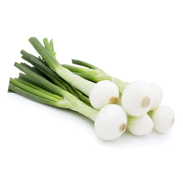 Spring onion, Egyptian Vegetables, High quality, Grade A+ Natural 100% Color Green, Human consumption, model number: 120