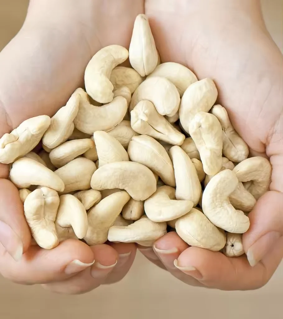 Hot Selling Dried Cashew Nut for sale