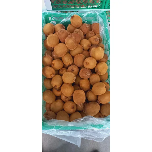Top Sale Sweet Kiwi Fruit Peeled Frozen Kiwi IQF Export Factory Price Wholesale Egypt Kiwi Fruit Premium Grade