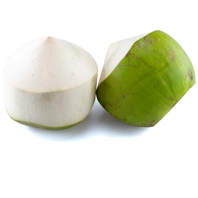 FRESH YOUNG COCONUT VIETNAM GREEN Premium WHITE Tropical Shell SWEET Style Packing Organic Pcs Color PURE Weight DRINK Shelf Chi