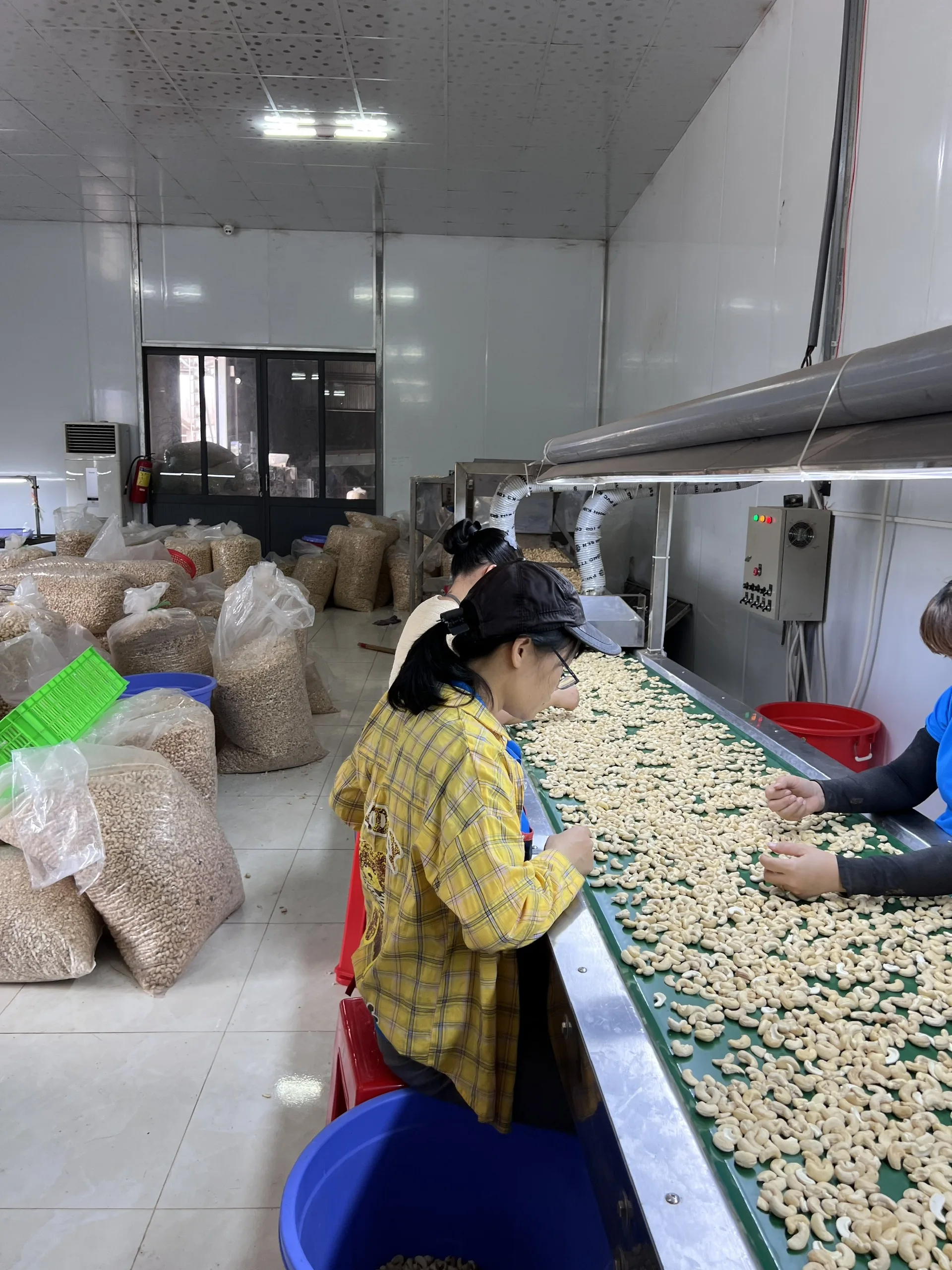 Flavored White Cashew Nut High Quality Organic Product Use For Restaurant Hot Selling Customized From Vietnam Manufacturer