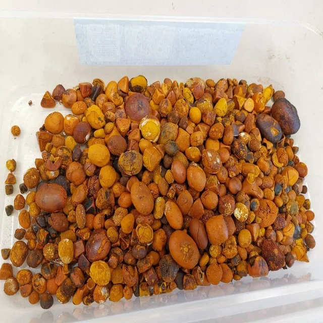 Best top Quality Dried Cow Ox Gallstones for sale