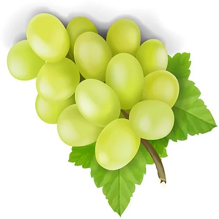 High quality Australian green grapes made in Vietnam 100% natural, no chemicals