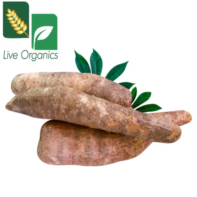 Organic Tapioca Powder Grown in India Ethically Sourced Used in Food as an Ingredients Product of Assam