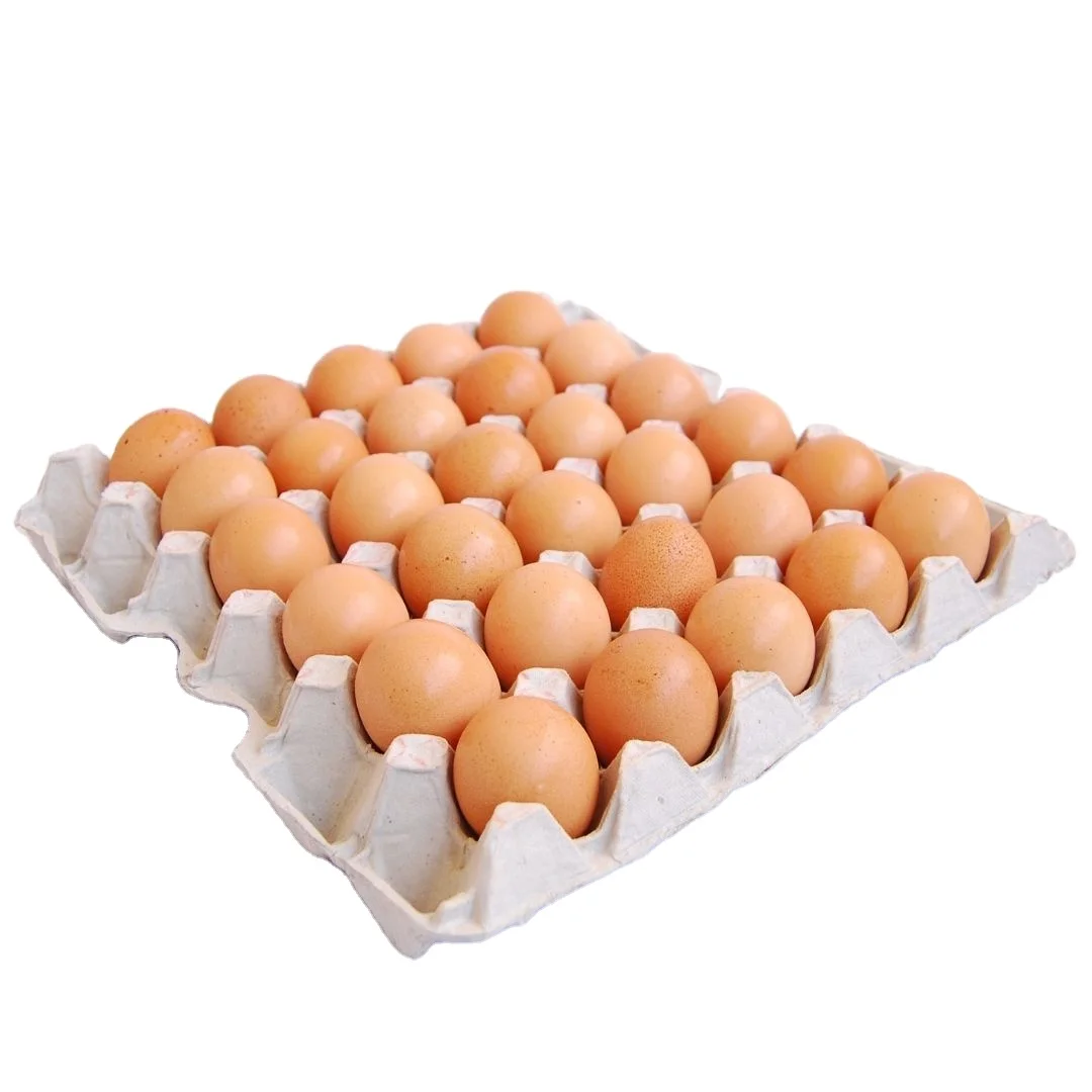 Wholesale Farm Fresh Chicken Table Eggs Brown and White Fresh Brown White Table Eggs / Fresh Chicken Eggs