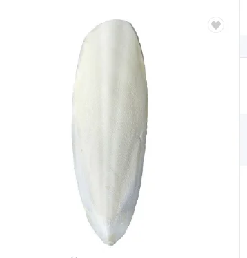 Dried Cuttlefish Bone For Birds Buy Wholesale Price Cuttlefish Bone Best Price Squid Bone-Cuttlebone