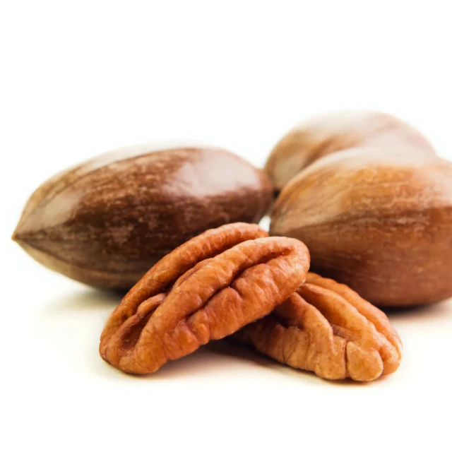 100% Natural First Quality Roasted Salted pecans nuts with shell pecan nuts raw