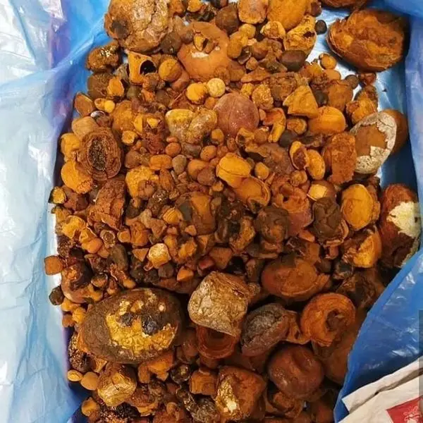 Качественный сушеный бык желчный камень желчные камни крупного рогатого скота