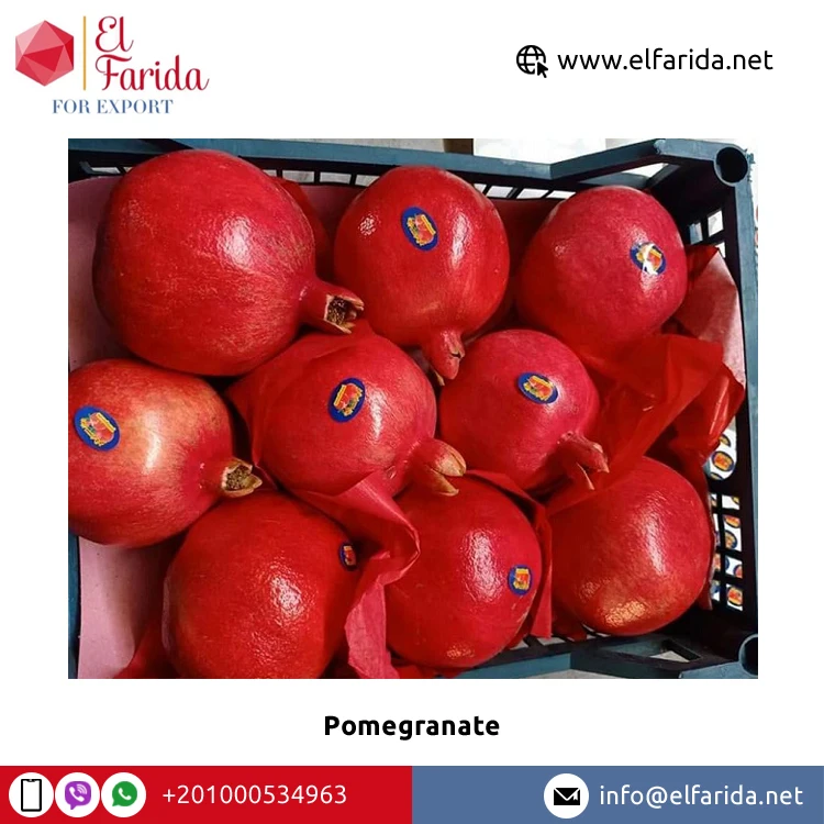 Superior Quality Bulk Sale 100% Natural Sweet Delicious Red Fresh Fruit Pomegranate at Wholesale Market Price