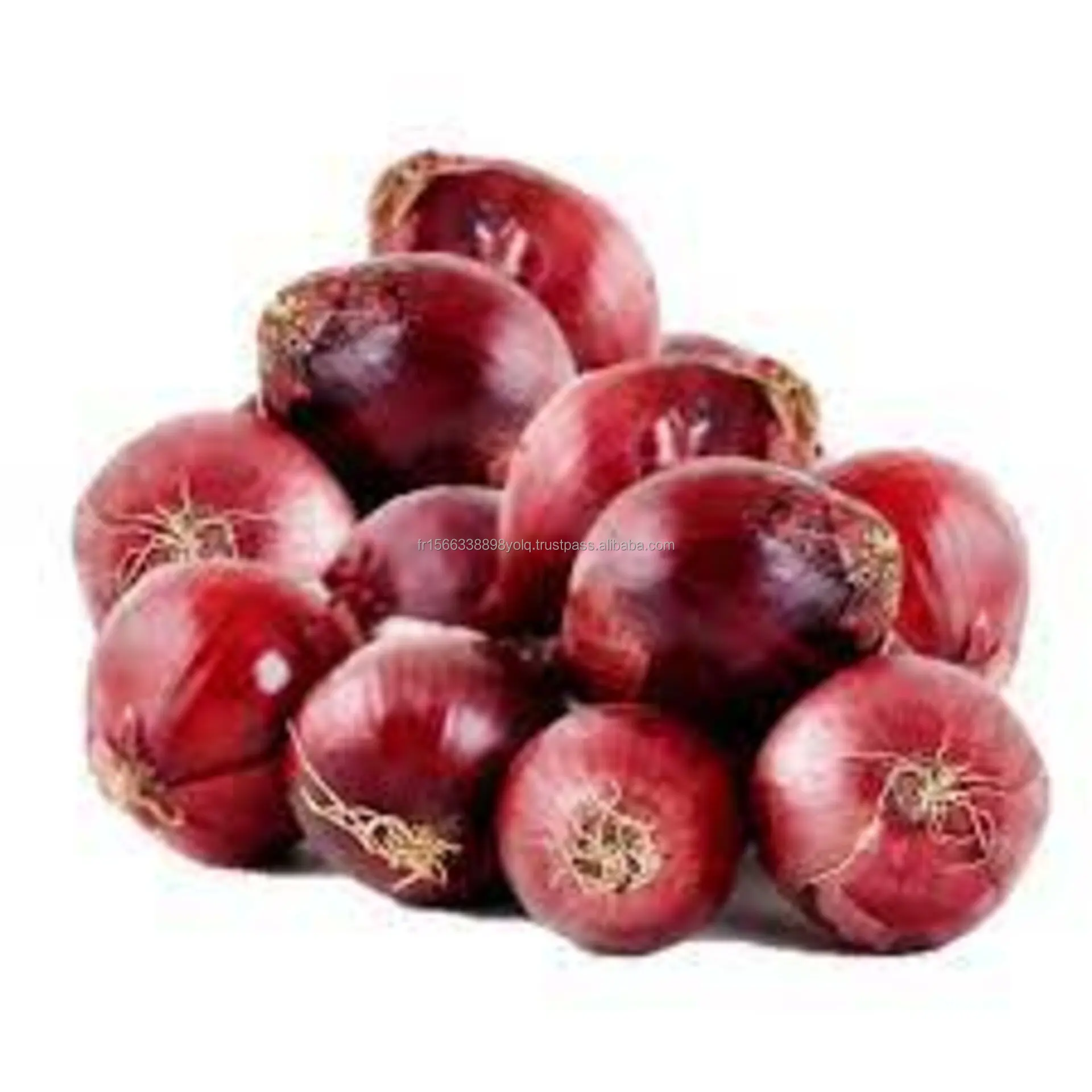 Natural Fresh Red Onions for Sale at Low Market Price
