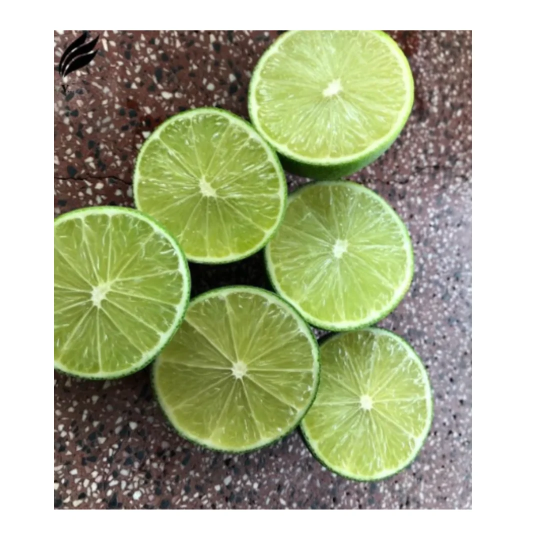 Manufacture Versatile Lemons and Limes high quality fresh lime / natural green limefresh lime from Vietnam