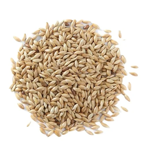 canary seed7.jpg