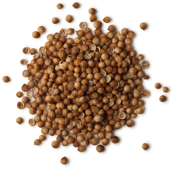 Organic Coriander Seeds