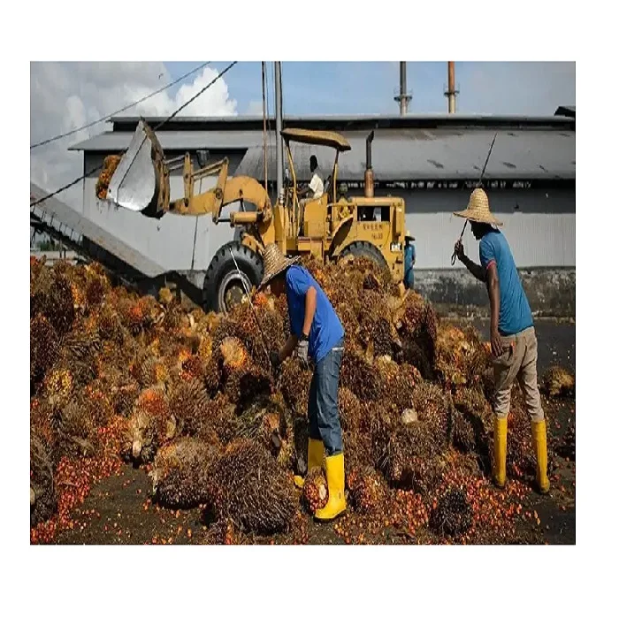 Crude Palm Oil Quality Refined Palm oil