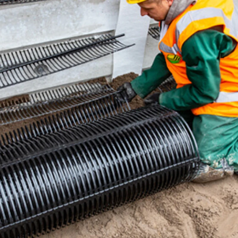 HDPE усиленная одноосная георешетка для подпорной стены