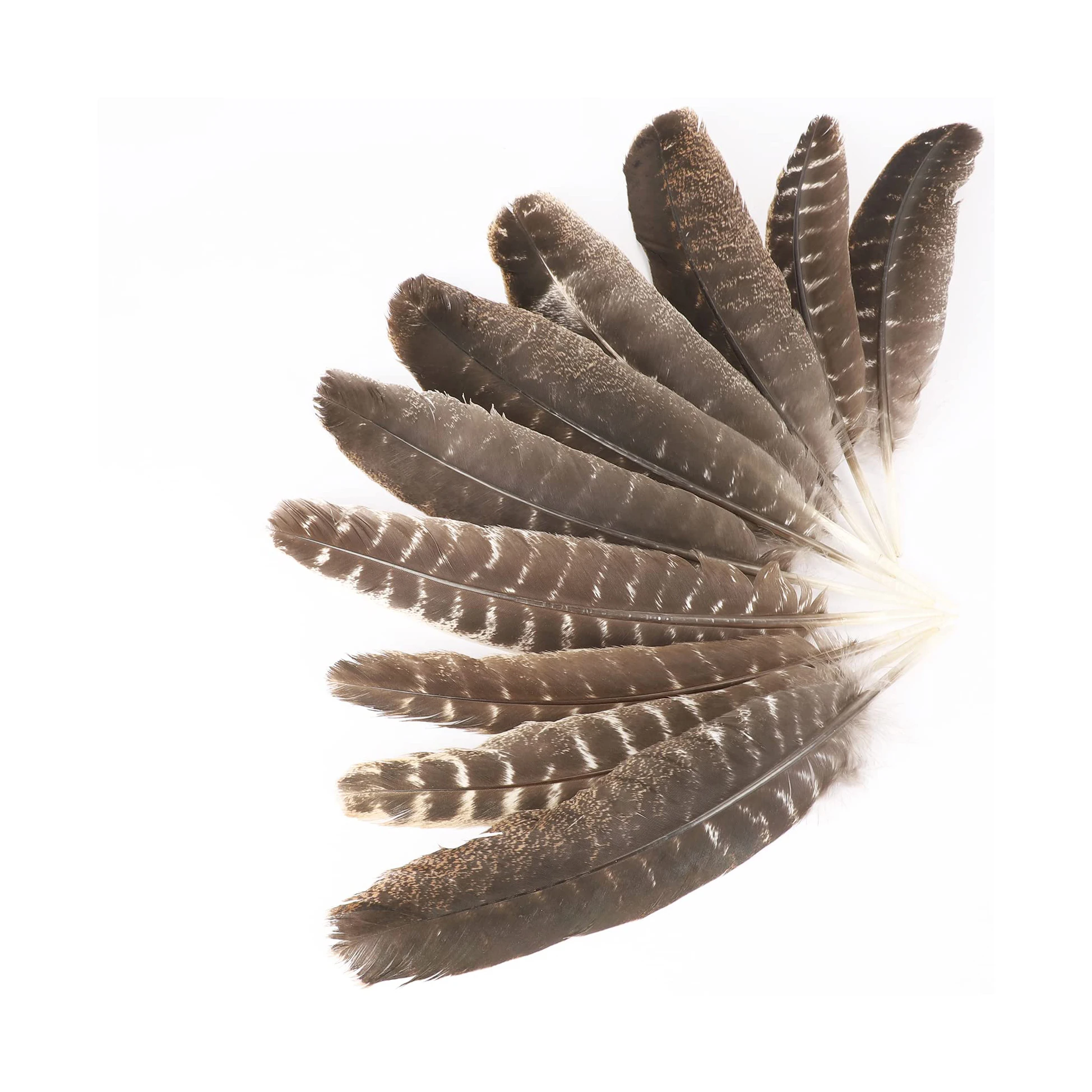 Factory outlet DIY craft colorful turkey marabou feathers for sale