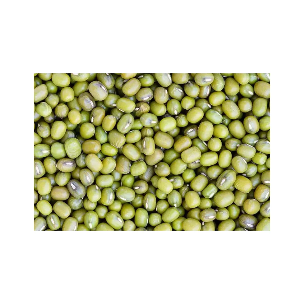 Peeled green mung beans split /mung dhal New Mung Bean Crop