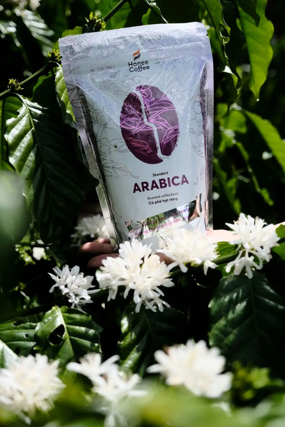 Кофе для гурманов Honee из Вьетнама жареные зерна арабики среднее обжарение 250 г 500 1 кг в