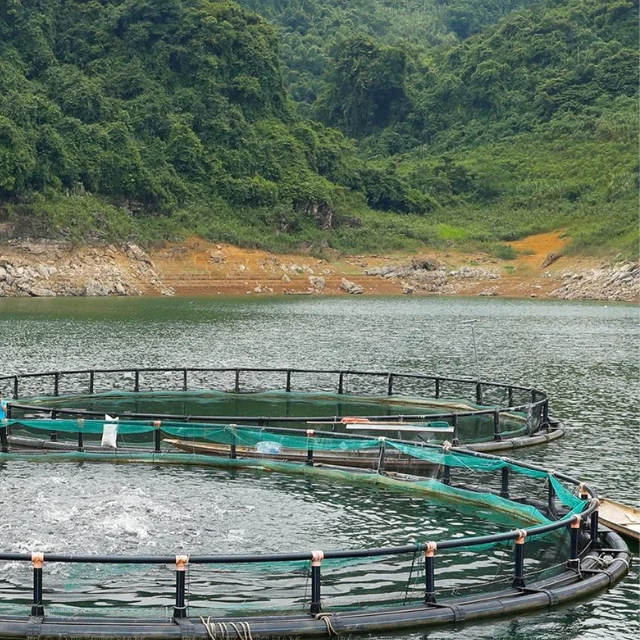 Best Sale Offshore Fish Farming Cages Fish Farm Floating Cages Aquaculture Float From Vietnam Manufacturer