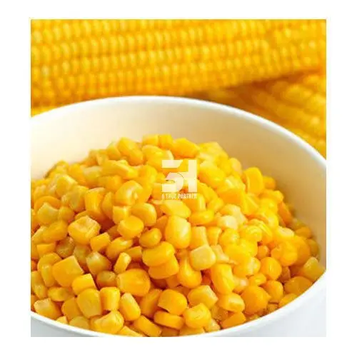 Supplier Of Vegetable From Viet Nam - Sweet Corn Best Quality Cheap Price Ready To Ship