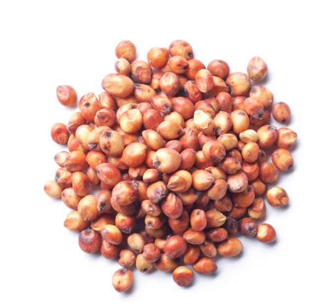 Sorghum White Milo Sorghum Grains Sorghum Price Per Ton for sale