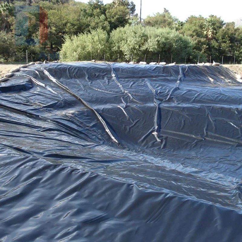 Пластиковая подкладка для пруда HDPE геомембрана продажа Гео мембран цена продажи