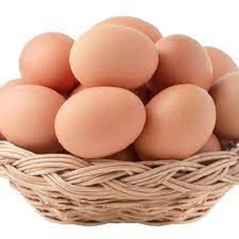 Продается инкубационные яйца бройлеров 500 Кобб и 308 Росс/курица Росс/Бройлер куриные яйца.