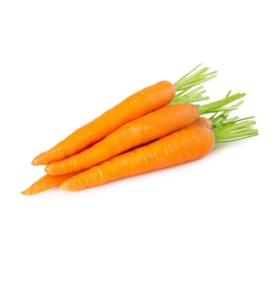 Best Quality Hot Sale Price Fresh Vegetables Carrots