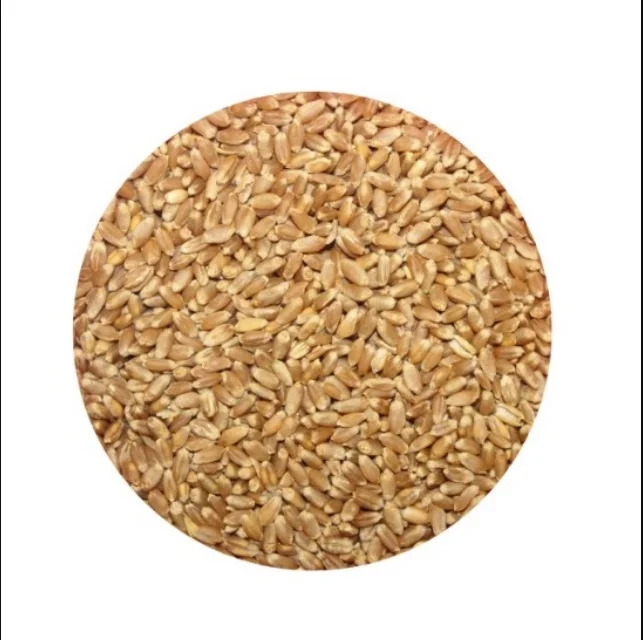 wheat 001.PNG