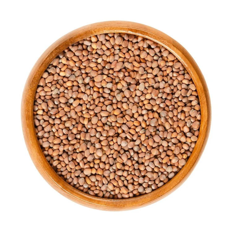 Best Selling Bilateral Handle Radish Seed Planter Cultivator