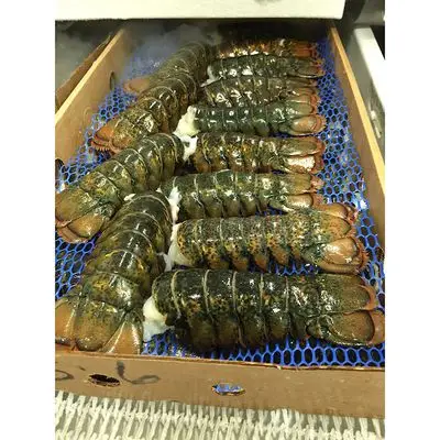 Souther Red Rock Lobster Frozen lobster tail Seasoned 100% Pure Lobster Tails