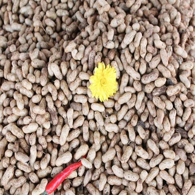 High Quality Cheap Cotton Seed Meal Cake Protein-rich Feed Fish Animals Pig Horse Farm Animals Hay Alfalfa Hay Companions Bagged