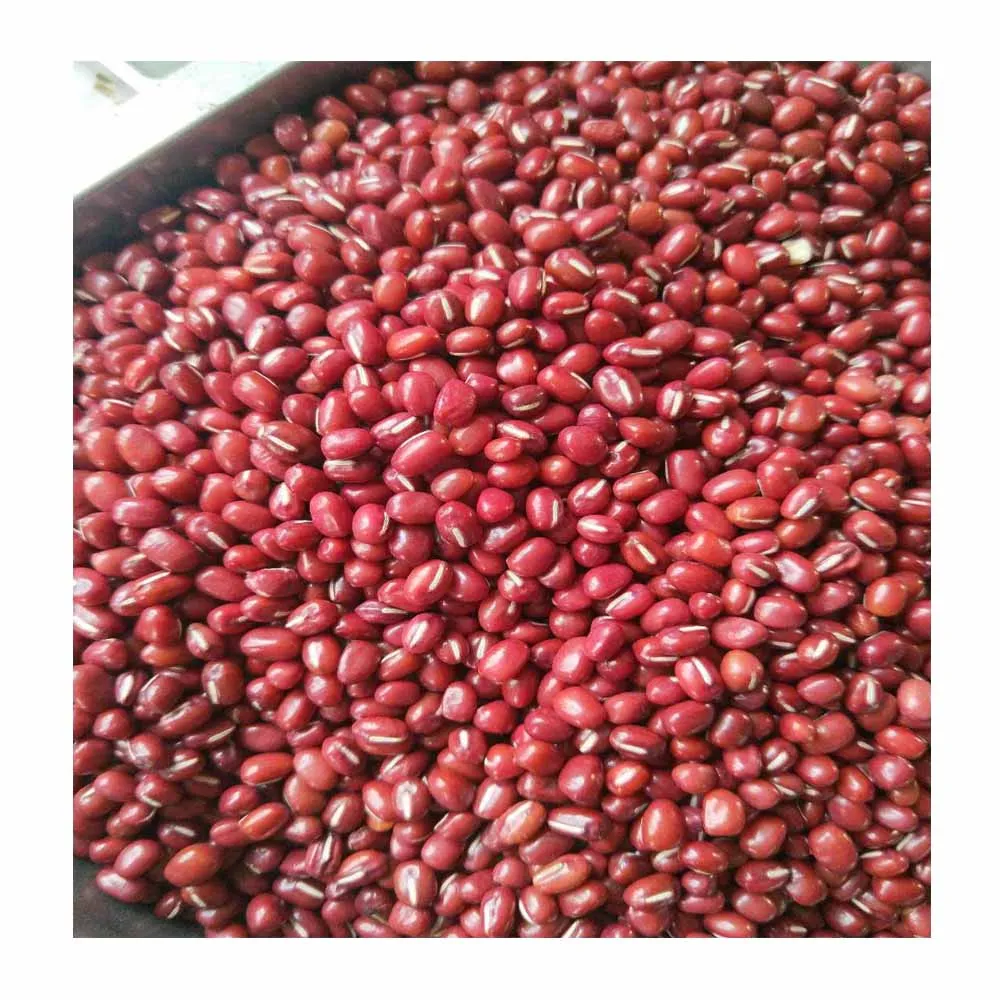 Premium Natural Pinto Kidney Beans High Quality Best Price Directly from Producers-White & Black Beans for Food Use
