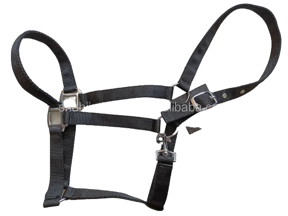 Nylon Halter Long Lasting Fine  Horse Halter Manufacturer OEM Style Color Material Customize Wholesale Price