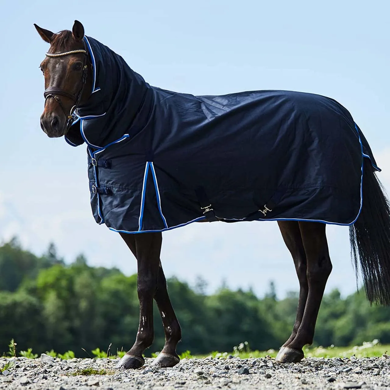 EQUEATRIAN HORSE WINTER TURNOUT COMBO DESIGNER RUG 300- 1280 DENIER NEVY BLUE COLOR BLANKET ODM & OEM ACCEPTED
