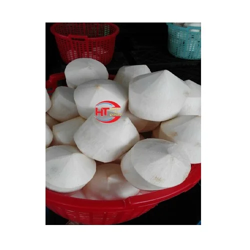 Organic Fresh Natural Harvesting Vietnam Matured Coconut Processed Diamond Cut Sweet Flavor Green Siamese Coconut Without Shell