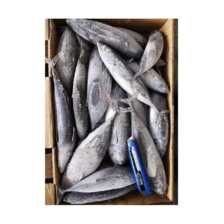 Healthy Sea Food Dried Whole Round Frozen Fresh Sardine Fish