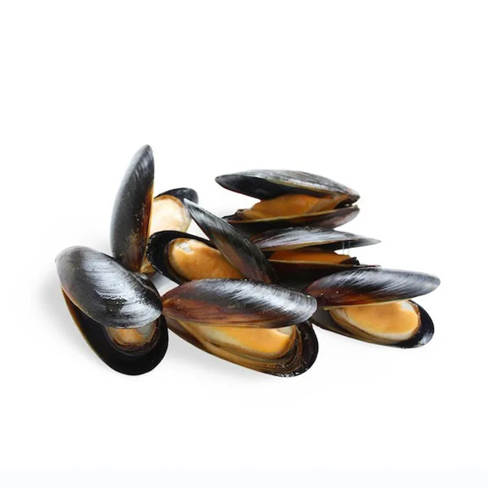 Top Quality Frozen Shellfish Mussels for sale