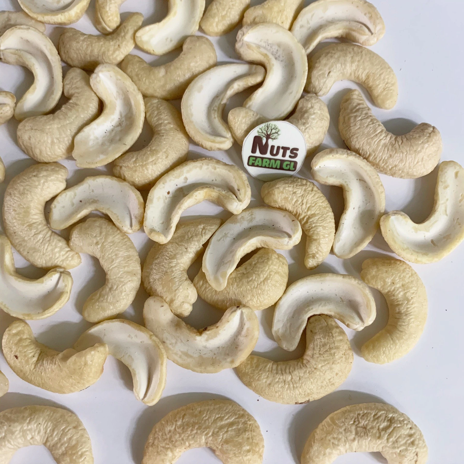 VIETNAM RAW DRY CASHEW NUTS KERNELS - SWP -  small White Pieces grade - Packaging in PE  vacucuum, Tin /Cartons