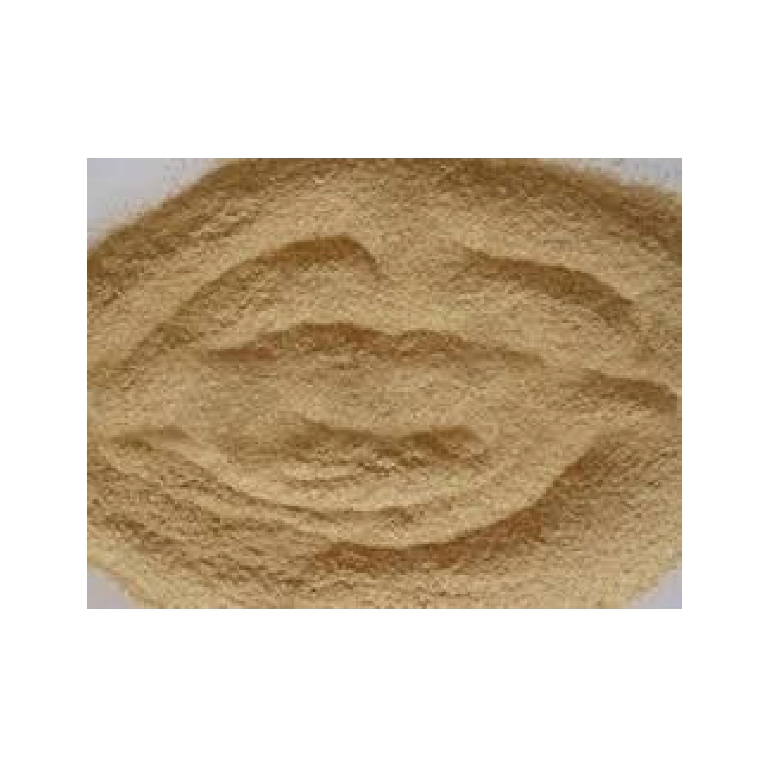 High Quality 100% Pure Pakistani Rice Husk Powder for Sale in Bulk Quantity