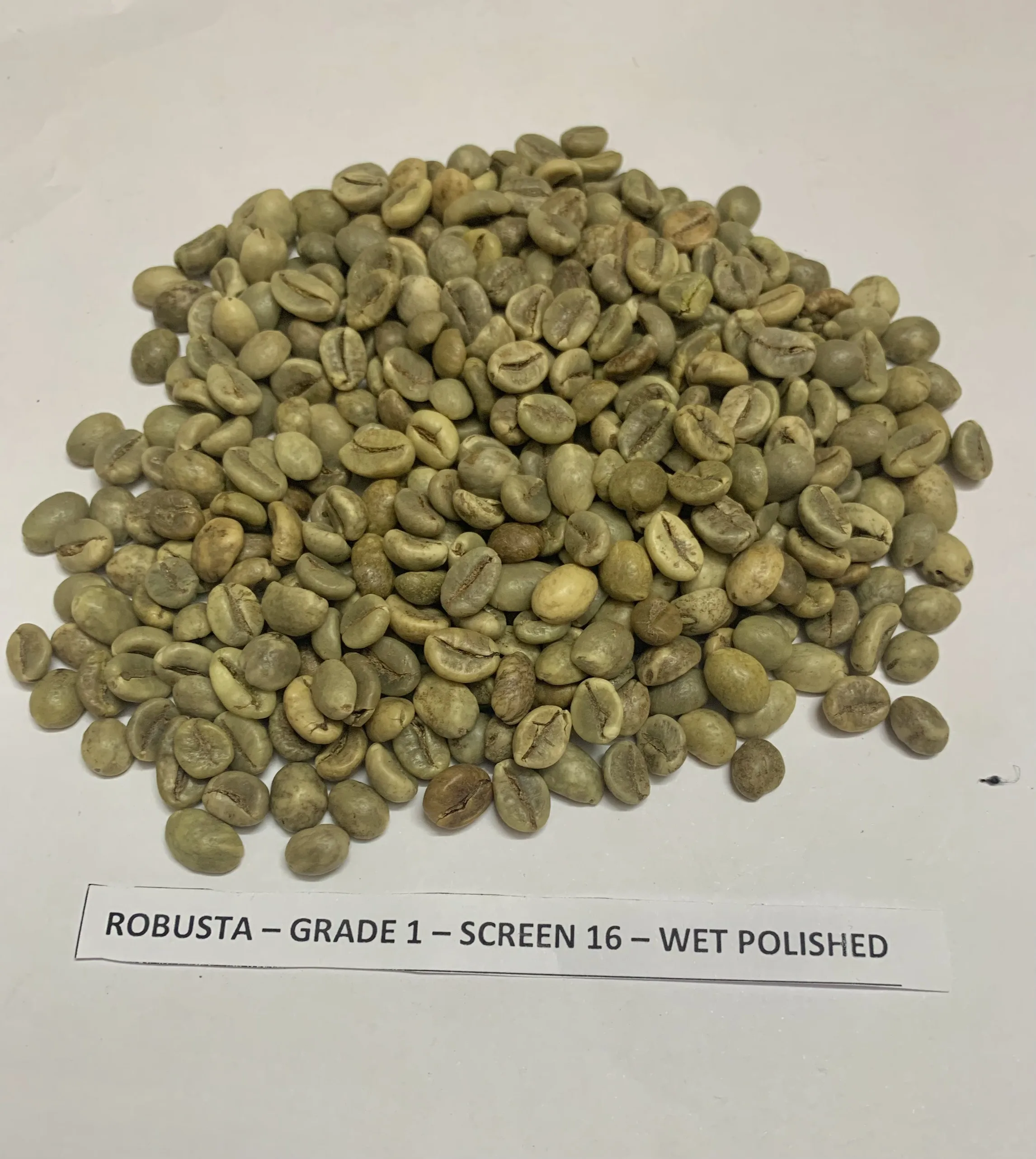 [Free sample] top quality green beans coffee Robusta/Arabica Green Coffee Beans from Reliable Vietnam Supplier +84363565928